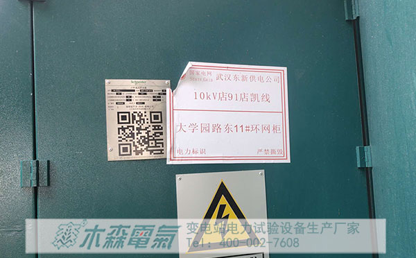 直高發等10kV環網柜預防性試驗設備